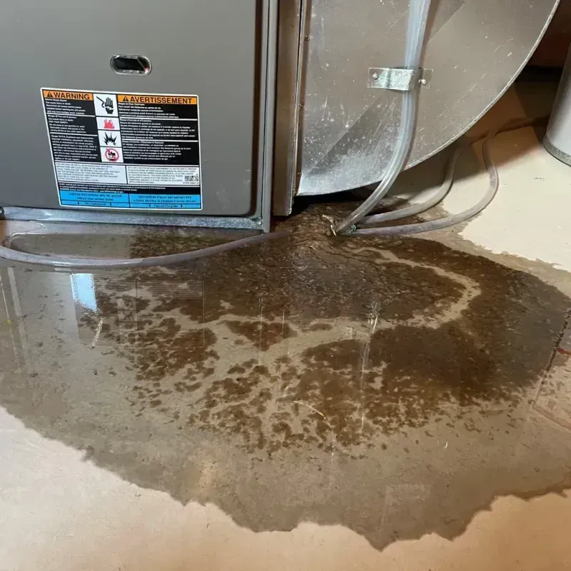 Appliance Leak Cleanup in Clearfield County, PA